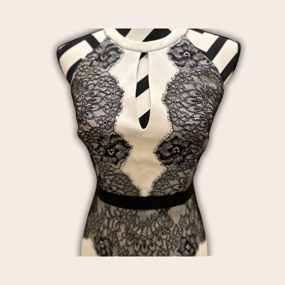 BCBG Maxazria Elegant Gown White, Lace, Sheer - Picture 4 of 5